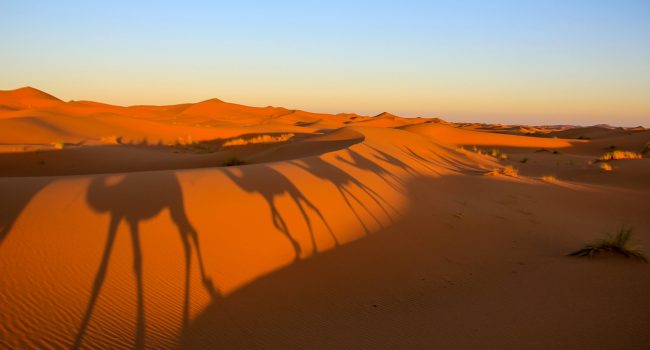 2 Days Desert Tours From Errachidia