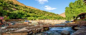 Day trip to Ourika Valley & High Atlas